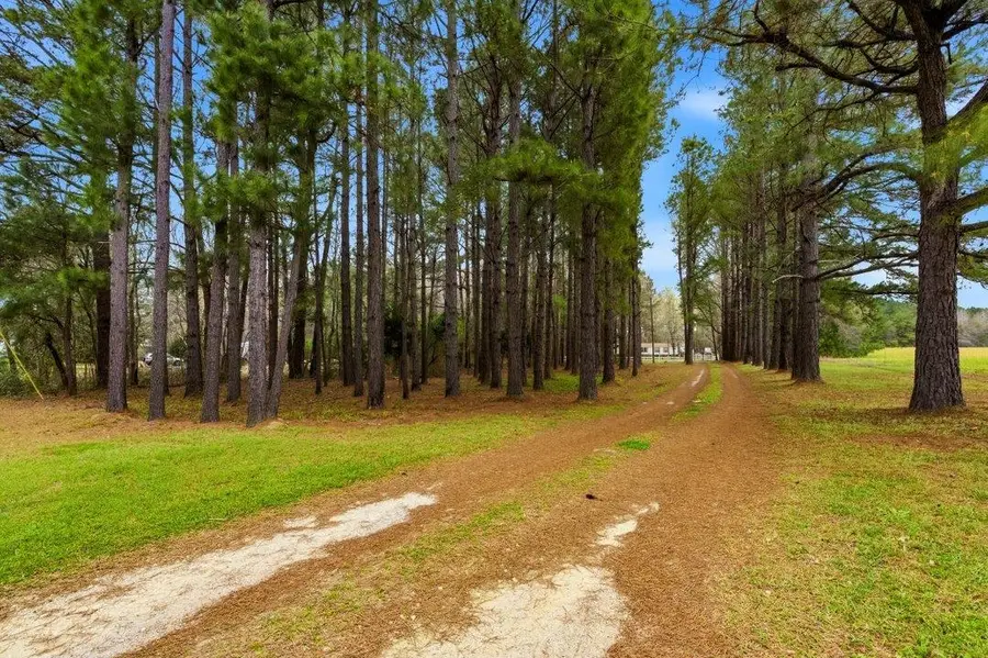 1258 Knotty Branch Rd., Conway, SC 29527 - #2