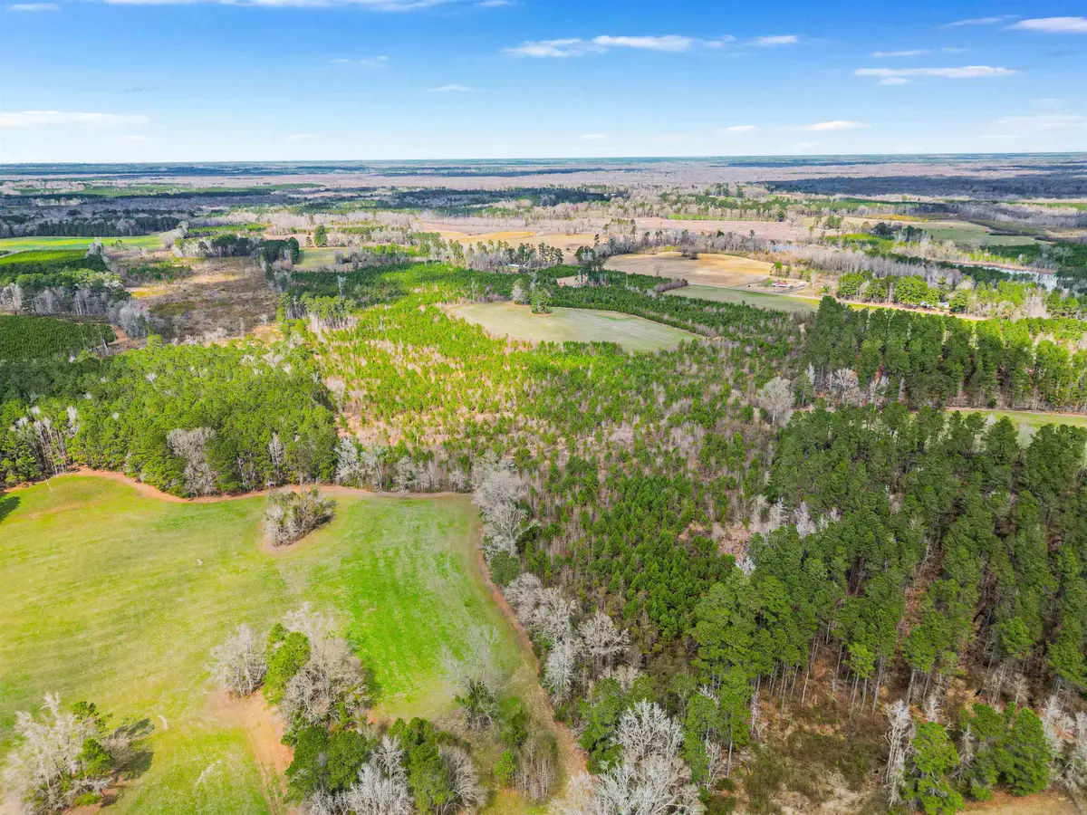 TBD Muddy Creek Rd., Johnsonville, SC 29555 - #1