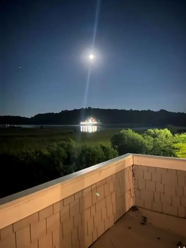 4396 Baldwin Ave. #141, Little River, SC 29566 - #2