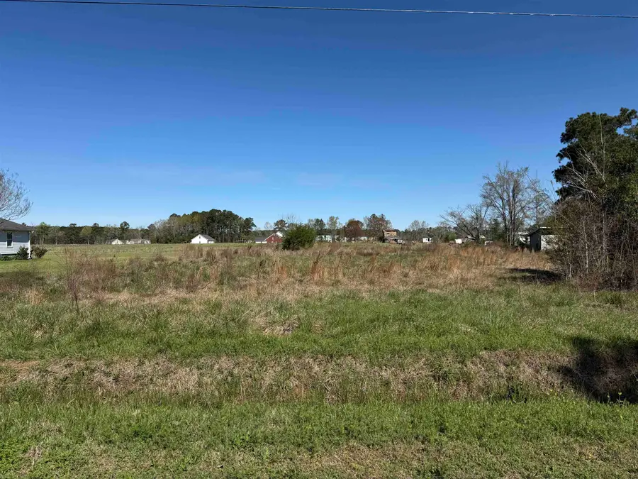 6353 Dawson Graham Rd., Conway, SC 29527 - #2