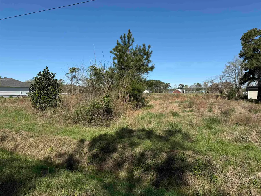 6353 Dawson Graham Rd., Conway, SC 29527 - #3