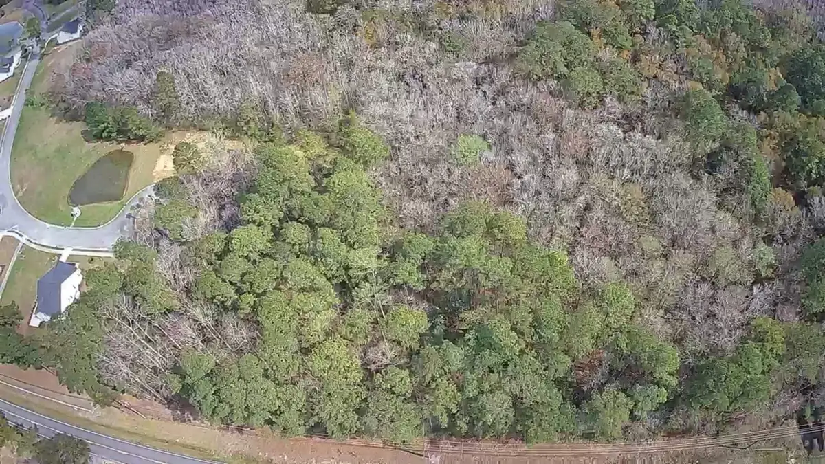 TBD South Island Rd., Georgetown, SC 29440 - #1