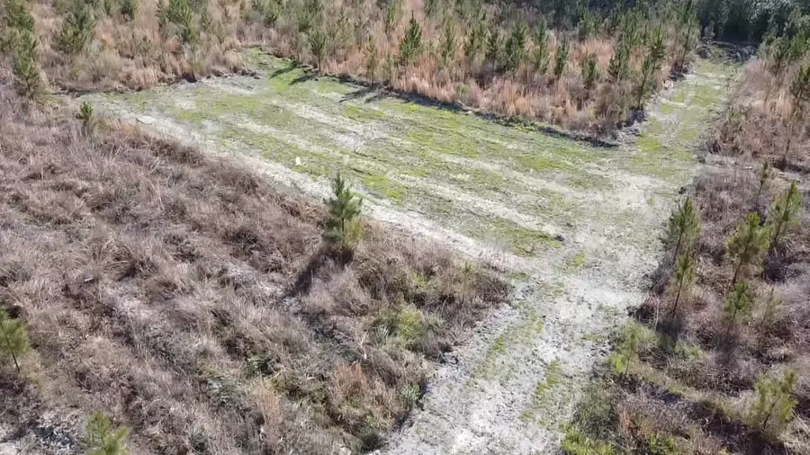 Lot 8 Amos Rd, Georgetown, SC 29440 - #3