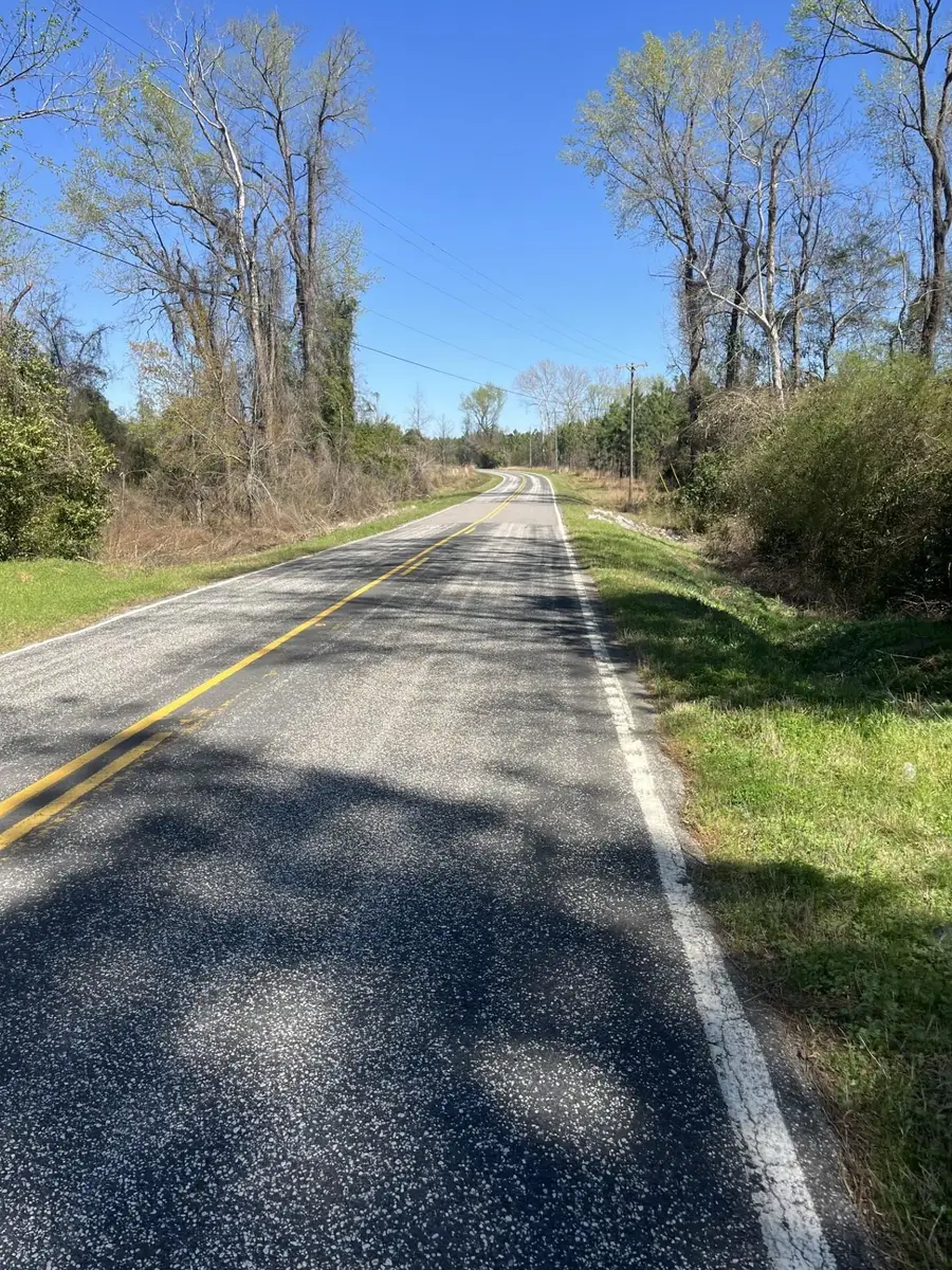 Salem Rd., Bennettsville, SC 29512 - #3