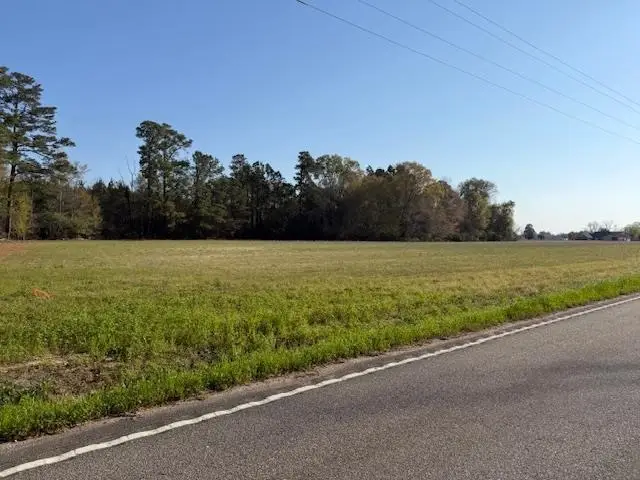 TBD Joyner Swamp Rd., Galivants Ferry, SC 29544 - #2