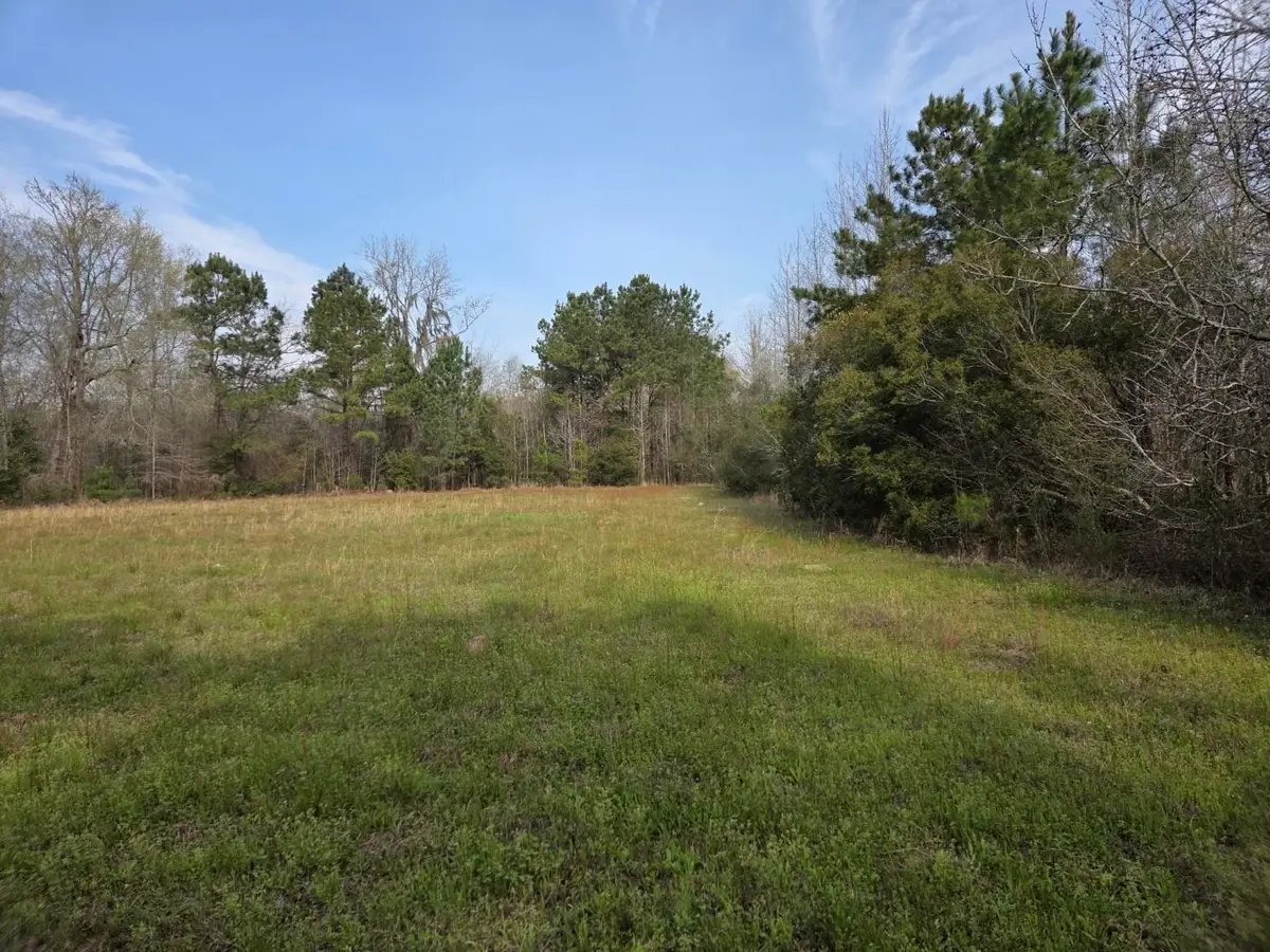 TBD Hubcap Rd., Kingstree, SC 29556 - #1