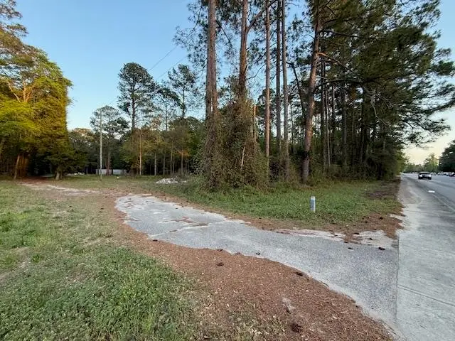 TBD Highway 544, Conway, SC 29526 - #1