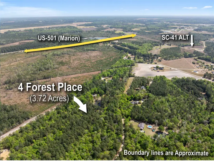 0 Forest Pl., Marion, SC 29571 - #3