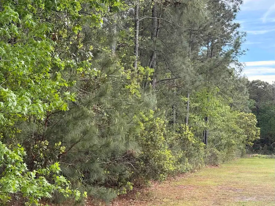 TBD Gussie Ct., Myrtle Beach, SC 29588 - #3