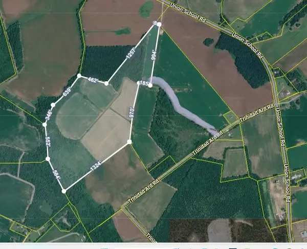 TBD 50.5 Ac off Union School Rd., Coward, SC 29530