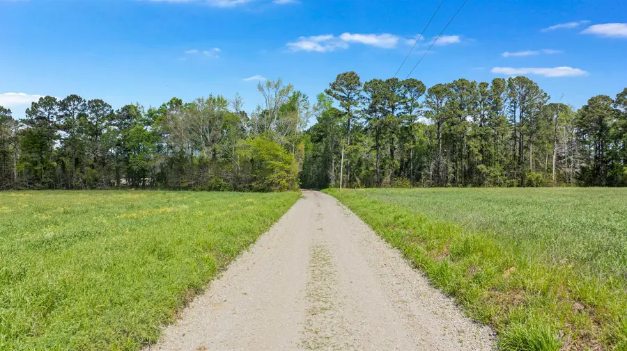 6.5 Acres Christine Pl., Hemingway, SC 29554 - #2