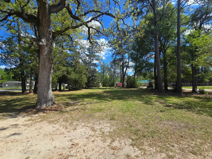 98 Old Cemetary Rd., Andrews, SC 29510 - #3