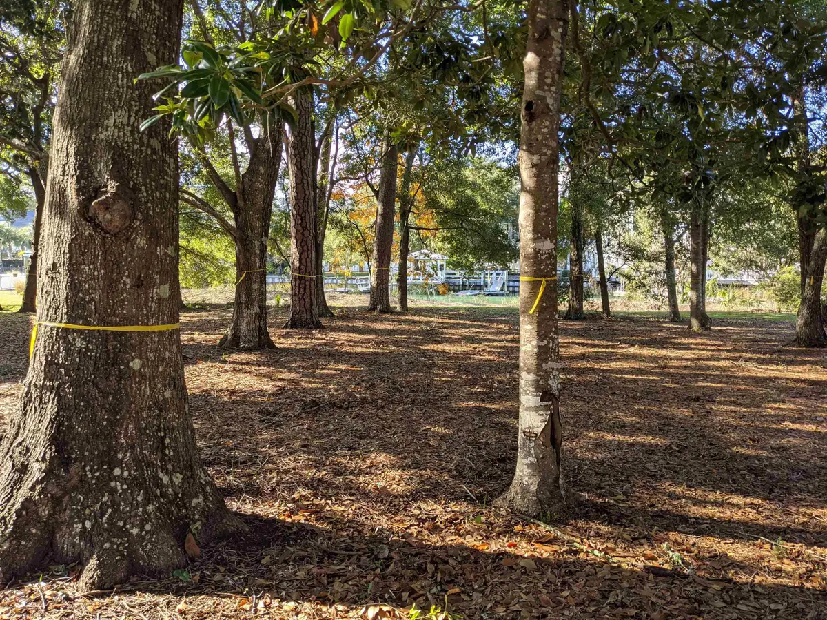 31 Gasparilla Circle, Murrells Inlet, SC 29576 - #1