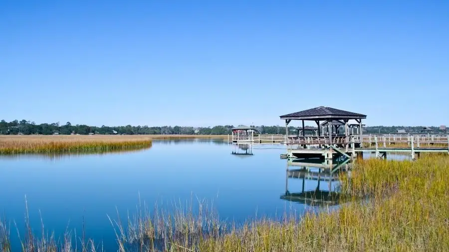 60 Newt Pl., Pawleys Island, SC 29585 - #3
