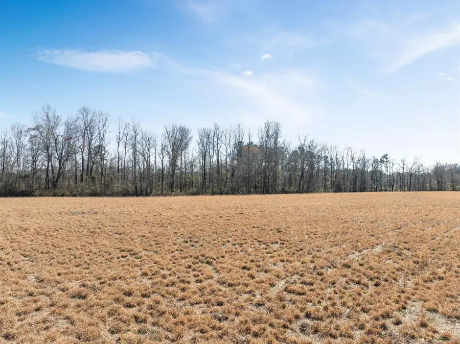 Lot 3 Sheila Dr., Johnsonville, SC 29555 - #2