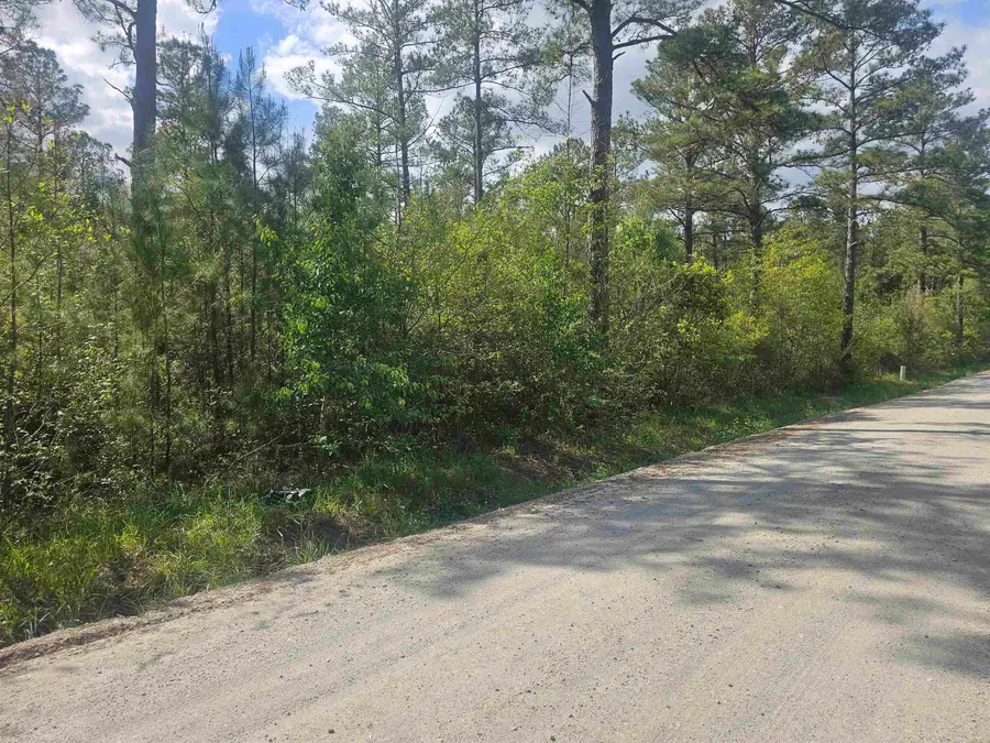 1285 Cheyenne Rd., Conway, SC 29526 - #2