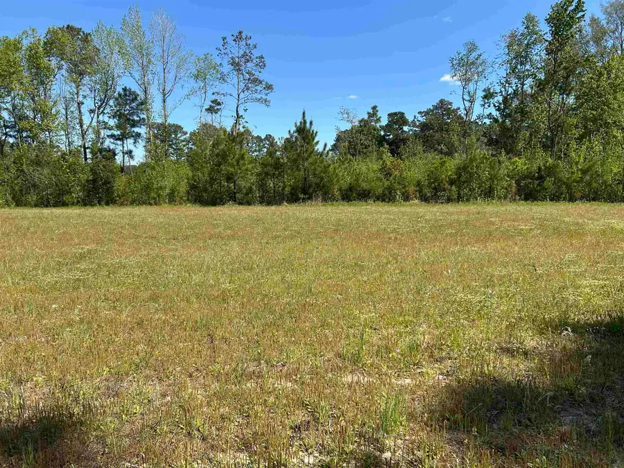TBD Choppee Rd., Hemingway, SC 29554 - #3