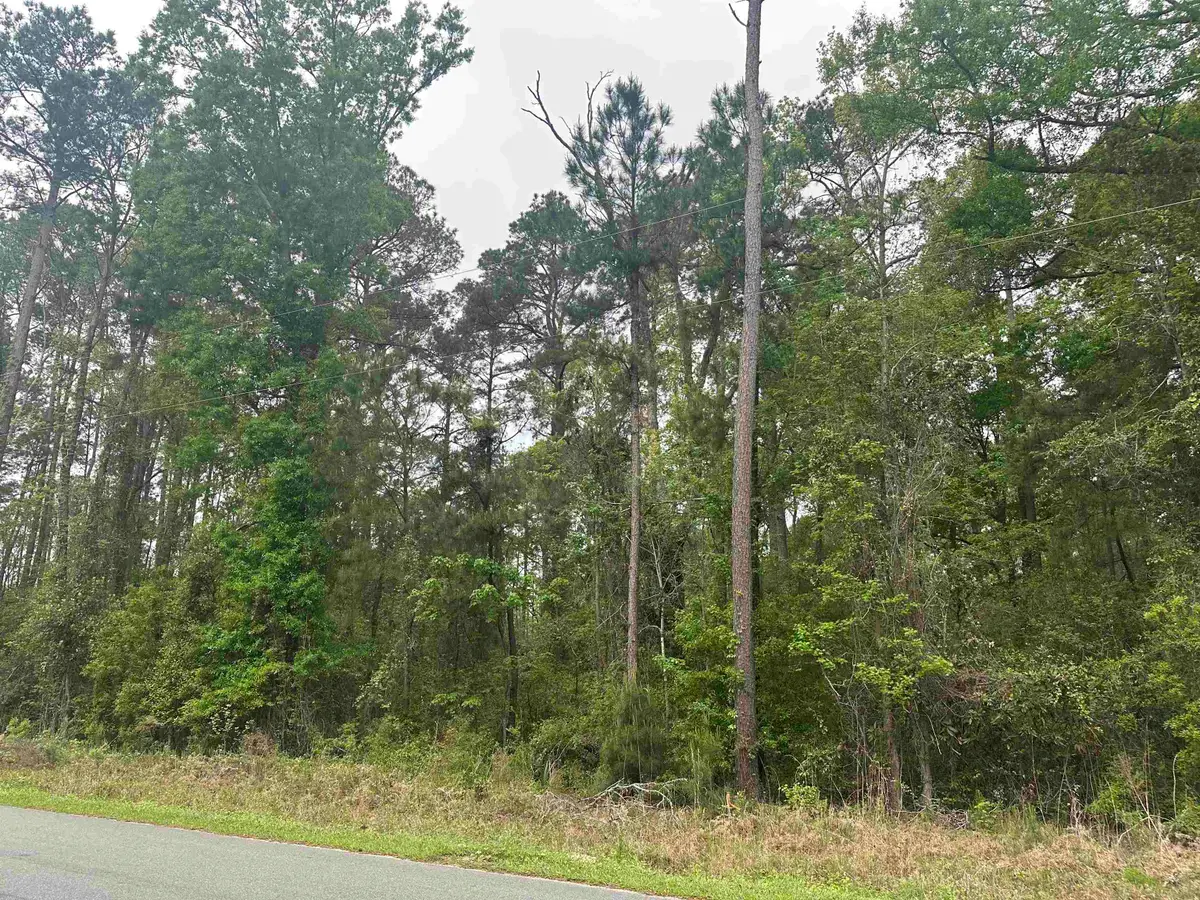 TBD Creekside Dr., Myrtle Beach, SC 29588 - #1