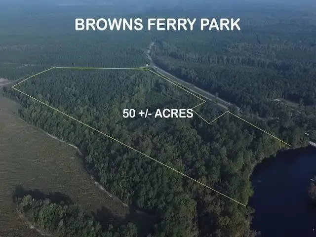 TBD Browns Ferry Rd., Georgetown, SC 29440 - #1