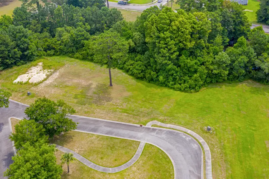 Lot #142 Millbrook Rd., Georgetown, SC 29440 - #2