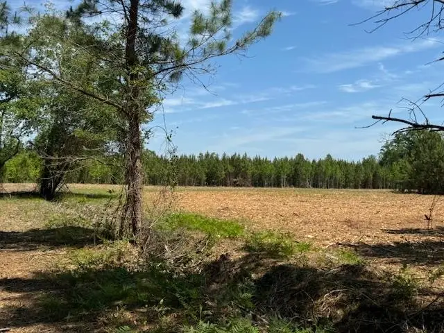 1371 Justice Loop, Loris, SC 29569 - #1