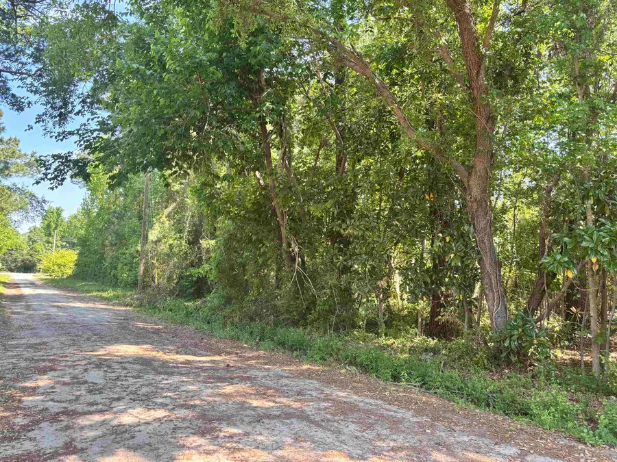 TBD Wilson Ln, Conway, SC 29526 - #2