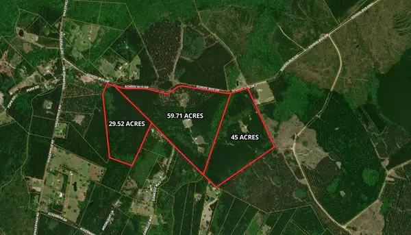 1267 School Bus Rd, Jamestown, SC 29453