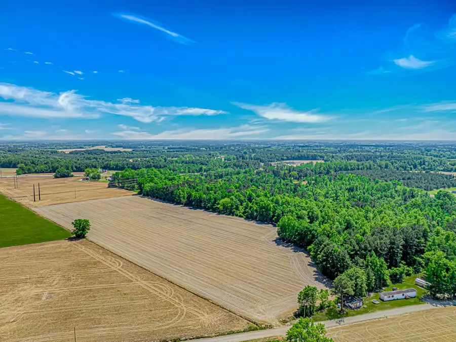 TBD Trinidad Ard Rd, Coward, SC 29530 - #2