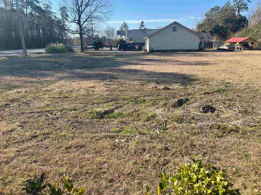 TBD Highway 701, Conway, SC 29526 - #2