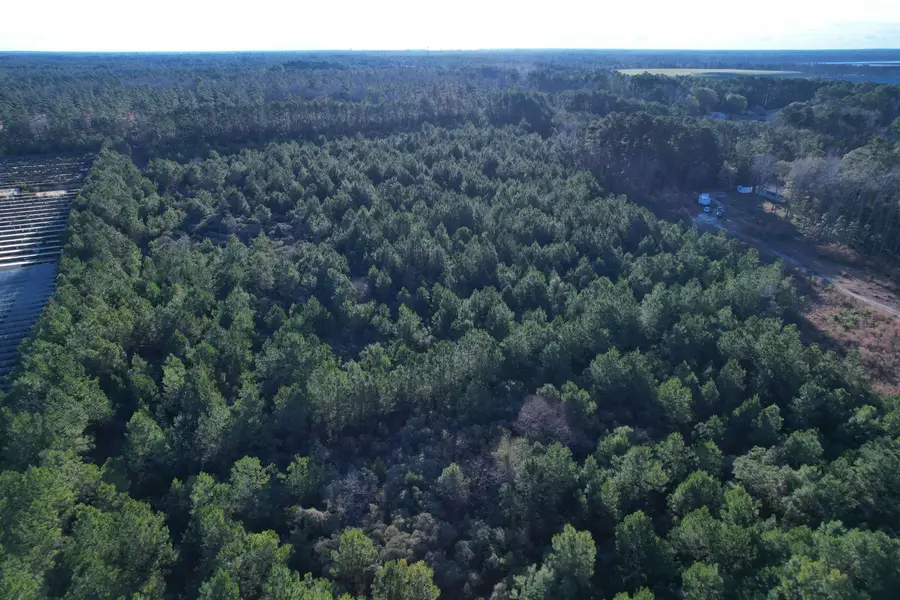 2422 Pennyroyal Rd., Georgetown, SC 29440 - #2