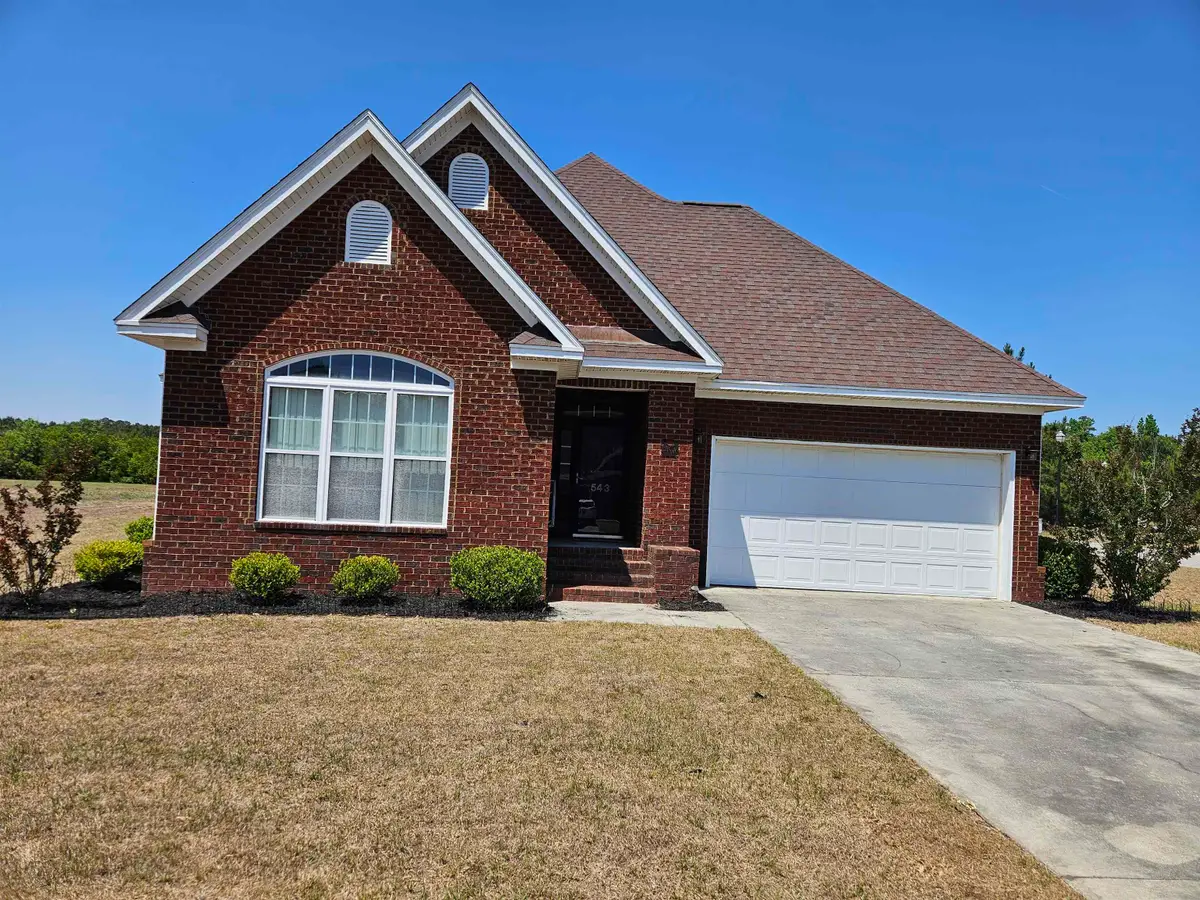 543 Mingo Trail, Johnsonville, SC 29555 - #1