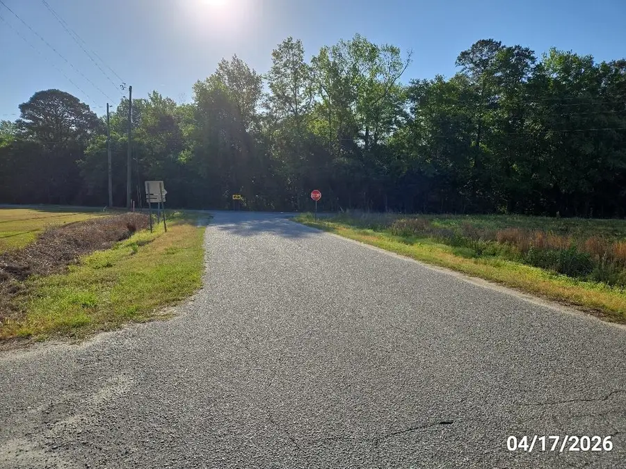 16 Leahs Loop, Greeleyville, SC 29056 - #2