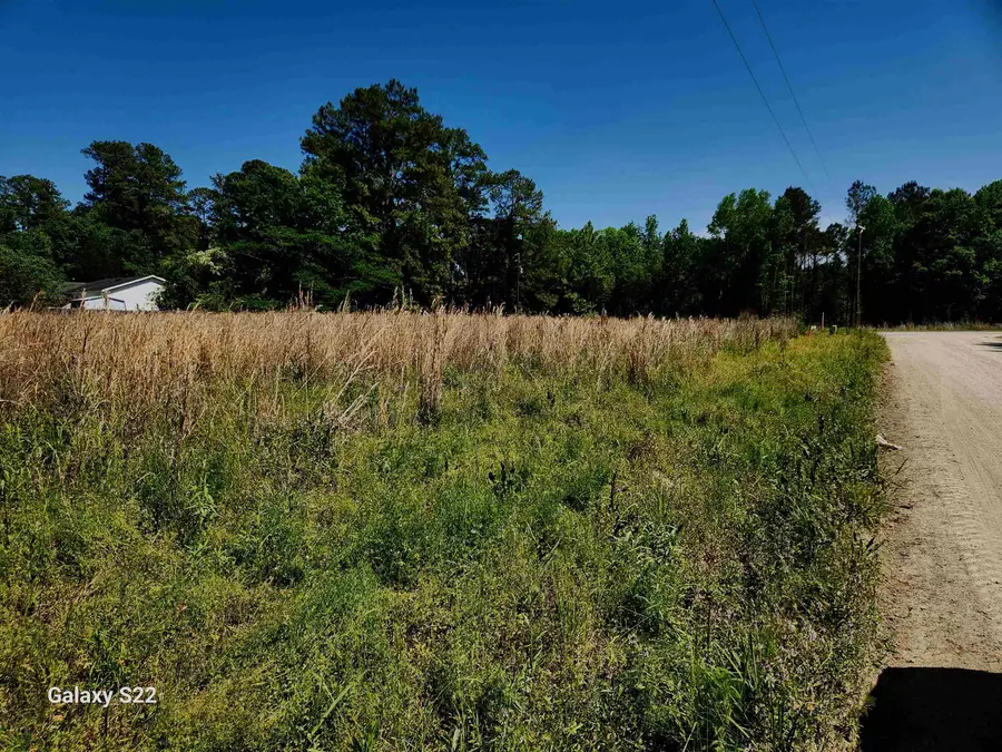 TBD Pleasant View Church Rd., Nichols, SC 29581 - #2