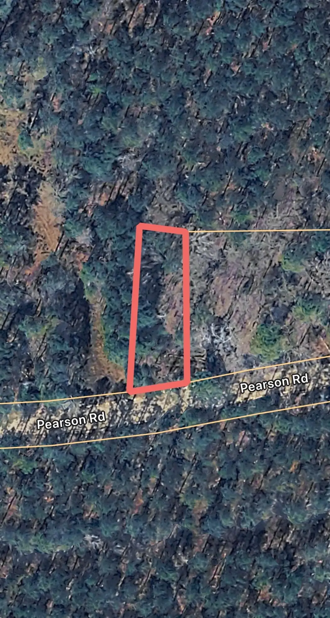TBD Pearson Rd., Manning, SC 29102 - #1