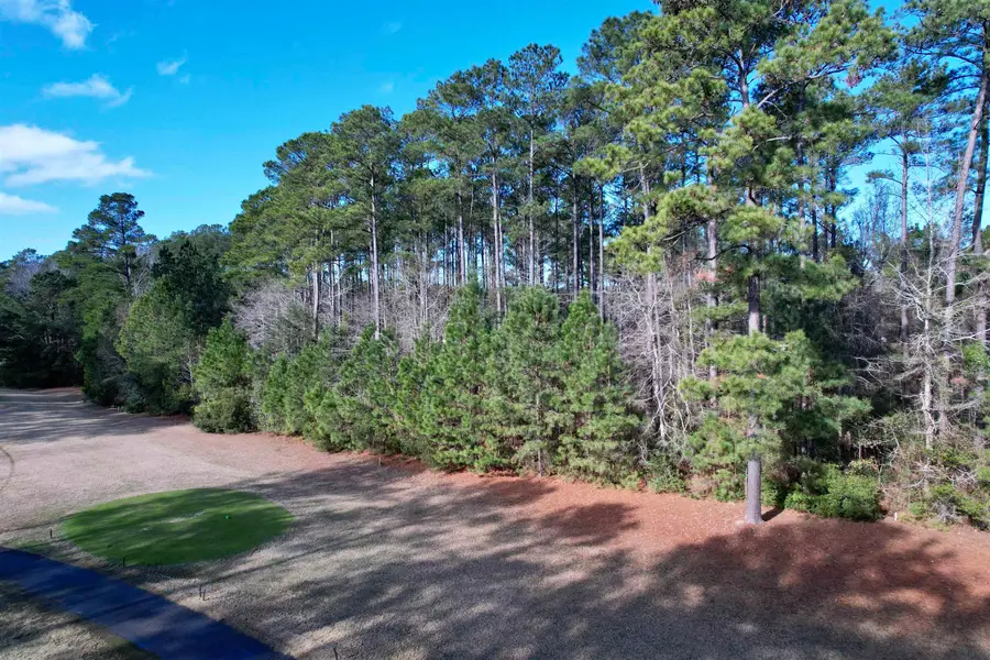 22 Lots - Goelet Ct., Georgetown, SC 29440 - #2