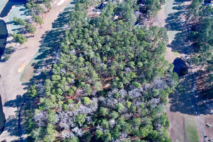 22 Lots - Goelet Ct., Georgetown, SC 29440 - #3