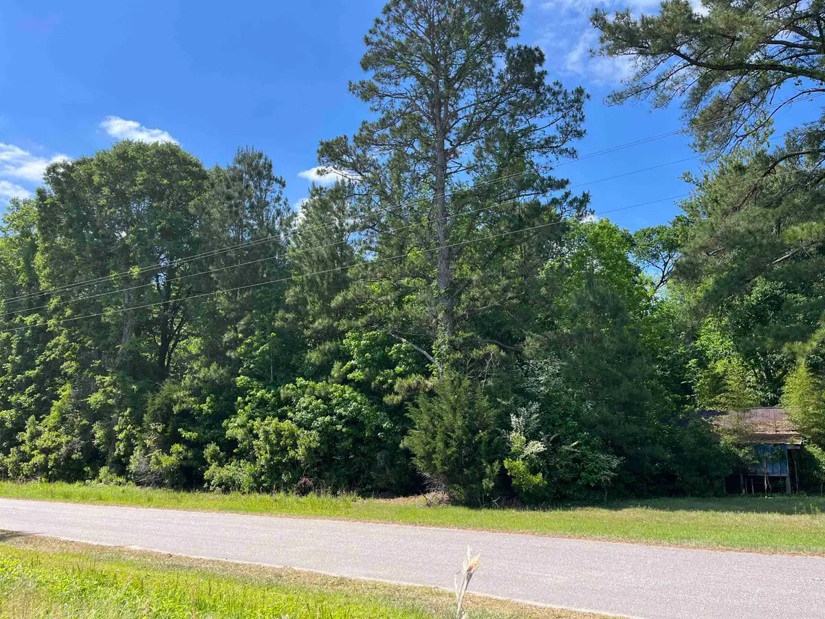 5453 Old Highway 472, Conway, SC 29526 - #1