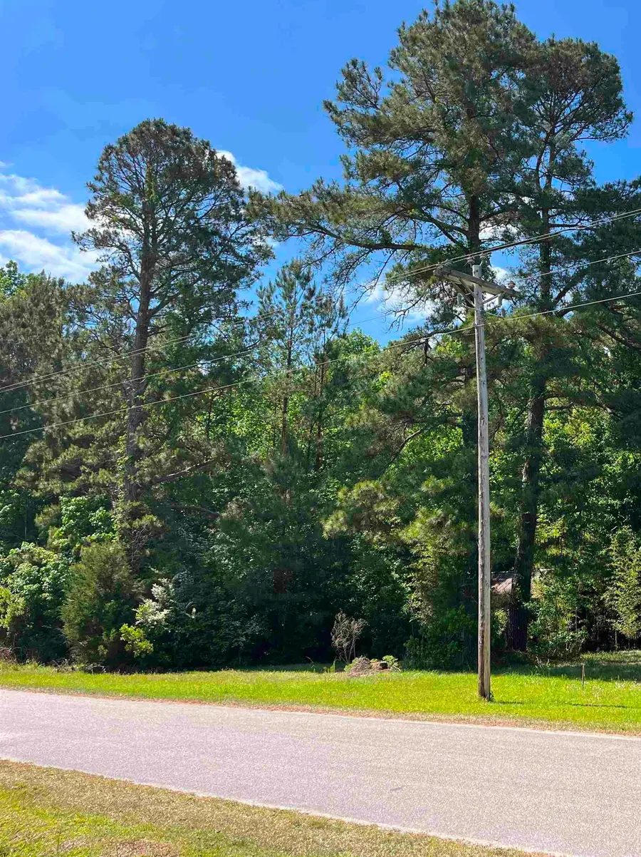 5453 Old Highway 472, Conway, SC 29526 - #2