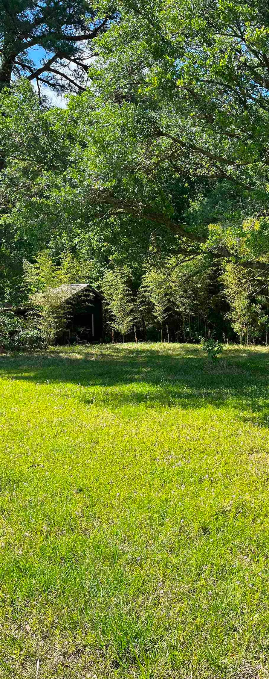 5453 Old Highway 472, Conway, SC 29526 - #3