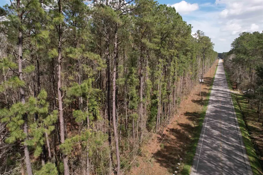 Tract C - TBD Pennyroyal Rd., Georgetown, SC 29440 - #2