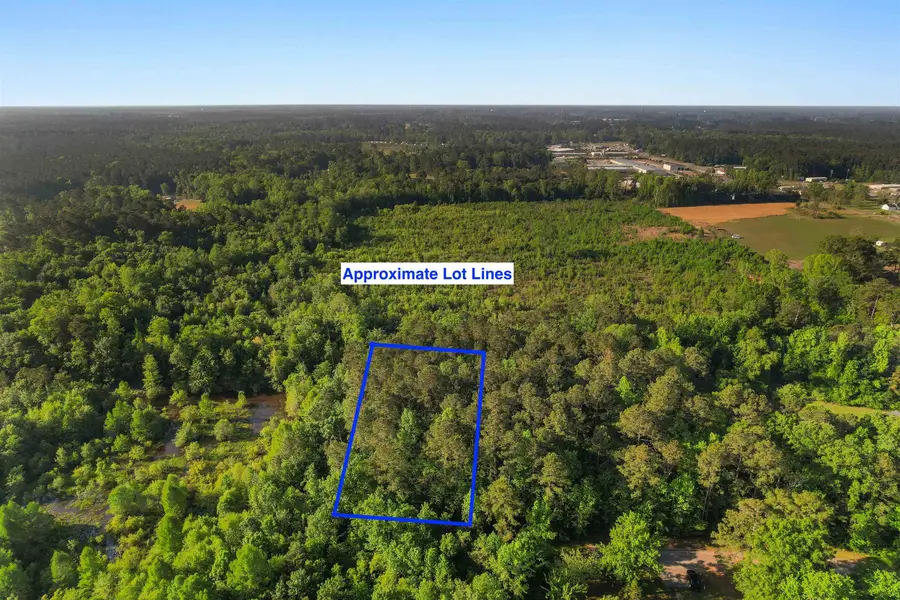 3172 Hair Nook Rd, Conway, SC 29526 - #2