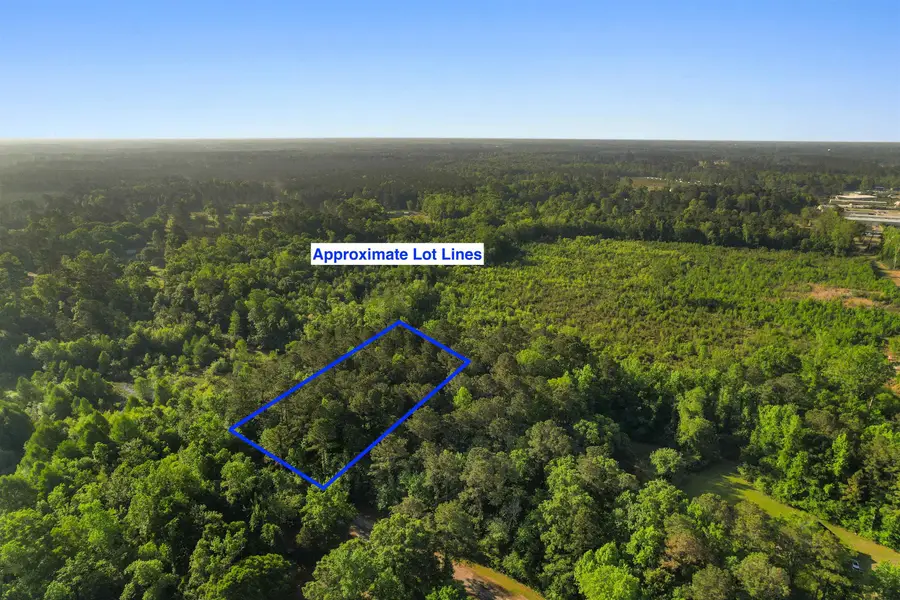 3172 Hair Nook Rd, Conway, SC 29526 - #3