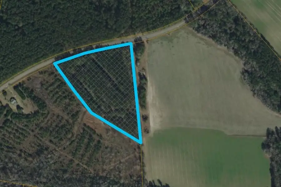 TBD Highway 45, Loris, SC 29569 - #2