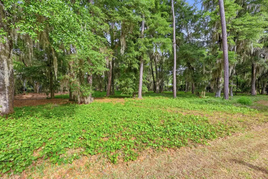 116 Sandy Ridge Loop, Pawleys Island, SC 29585 - #3