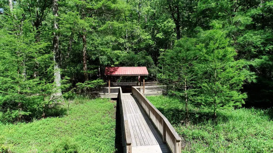 134 Lookout Dr, Cordova, SC 29039 - #3
