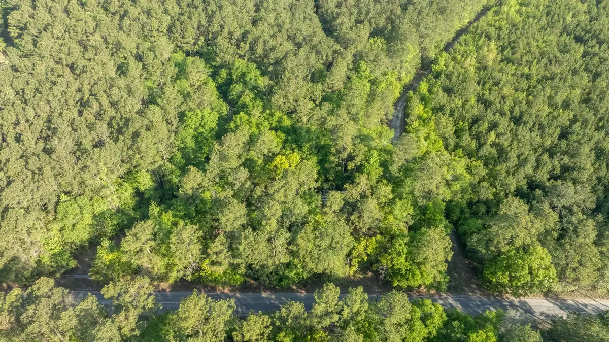 0 Etheridge Dr., Andrews, SC 29510 - #1