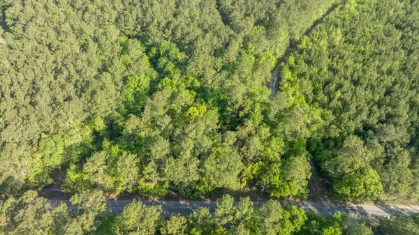 0 Etheridge Dr., Andrews, SC 29510