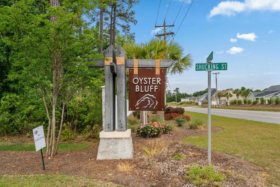 617 Black Pearl Way, Myrtle Beach, SC 29588 - #2