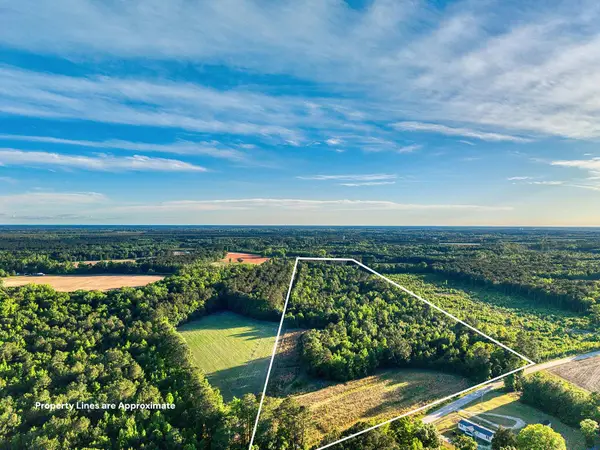 TBD Chair Rd., Hemingway, SC 29554