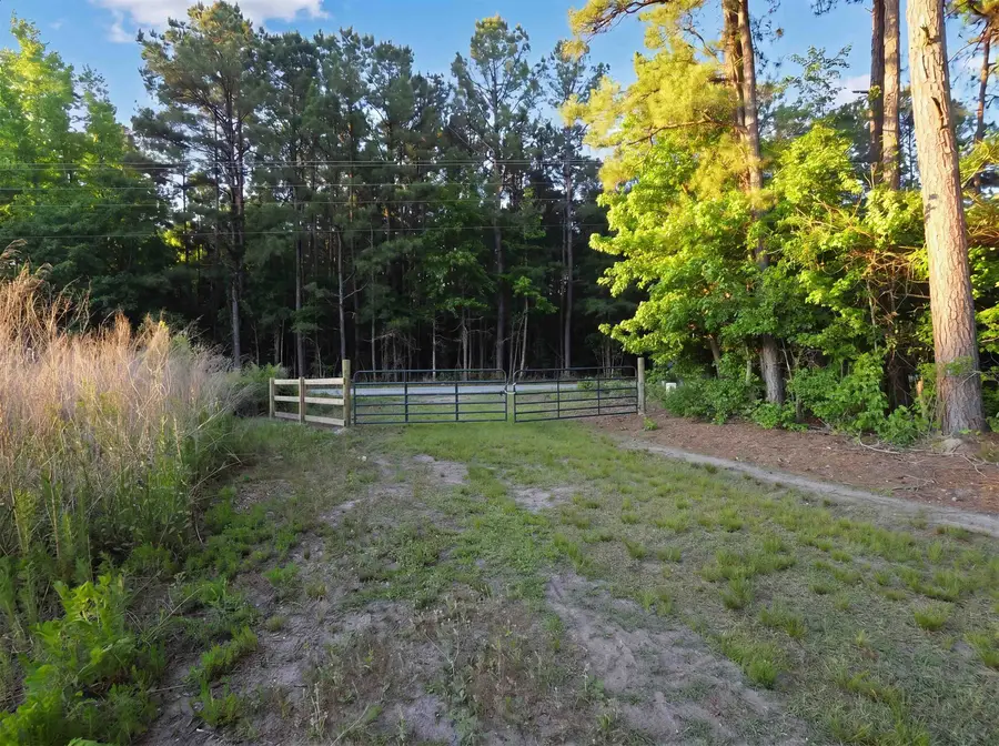 TBD Chair Rd., Hemingway, SC 29554 - #2